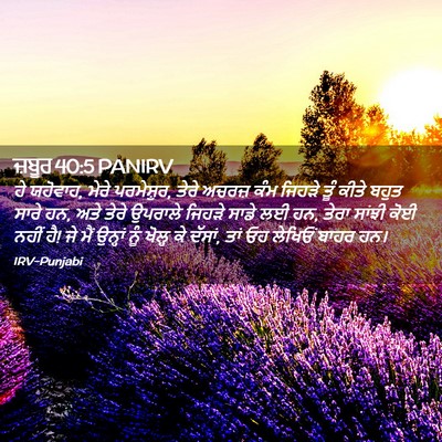 Picture 02 - ਜ਼ਬੂਰ 40:5 PANIRV - ਹੇ ਯਹੋਵਾਹ, ਮੇਰੇ - Bible Verse Picture