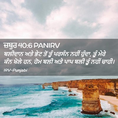 Picture 02 - ਜ਼ਬੂਰ 40:6 PANIRV - ਬਲੀਦਾਨ ਅਤੇ ਭੇਟ ਤੋਂ - Bible Verse Picture
