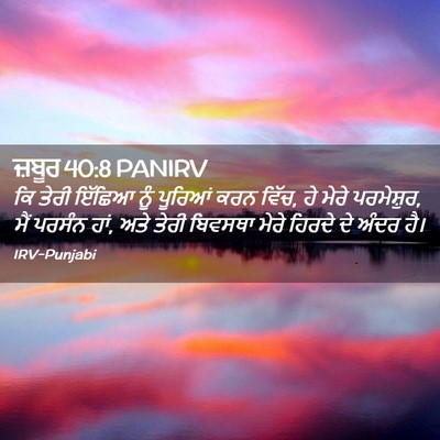 Picture 02 - ਜ਼ਬੂਰ 40:8 PANIRV - ਕਿ ਤੇਰੀ ਇੱਛਿਆ ਨੂੰ - Bible Verse Picture