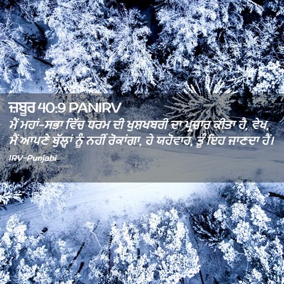 Picture 02 - ਜ਼ਬੂਰ 40:9 PANIRV - ਮੈਂ ਮਹਾਂ-ਸਭਾ ਵਿੱਚ - Bible Verse Picture