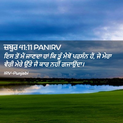 Picture 02 - ਜ਼ਬੂਰ 41:11 PANIRV - ਇਸ ਤੋਂ ਮੈਂ ਜਾਣਦਾ - Bible Verse Picture