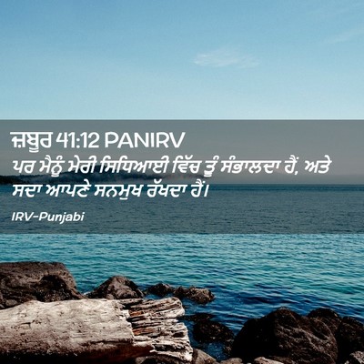 Picture 02 - ਜ਼ਬੂਰ 41:12 PANIRV - ਪਰ ਮੈਨੂੰ ਮੇਰੀ - Bible Verse Picture