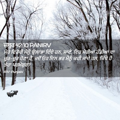 Picture 02 - ਜ਼ਬੂਰ 42:10 PANIRV - ਮੇਰੇ ਵਿਰੋਧੀ ਮੈਨੂੰ - Bible Verse Picture