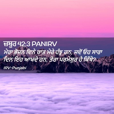 Picture 02 - ਜ਼ਬੂਰ 42:3 PANIRV - ਮੇਰਾ ਭੋਜਨ ਦਿਨੇ ਰਾਤ - Bible Verse Picture