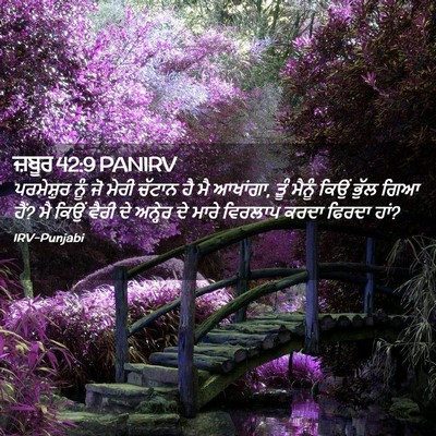 Picture 02 - ਜ਼ਬੂਰ 42:9 PANIRV - ਪਰਮੇਸ਼ੁਰ ਨੂੰ ਜੋ - Bible Verse Picture