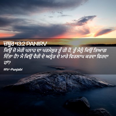 Picture 02 - ਜ਼ਬੂਰ 43:2 PANIRV - ਕਿਉਂ ਜੋ ਮੇਰੀ ਪਨਾਹ - Bible Verse Picture
