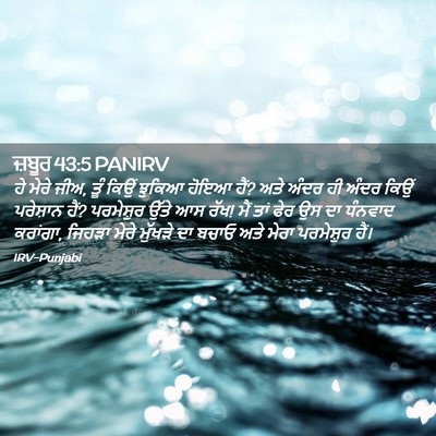 Picture 02 - ਜ਼ਬੂਰ 43:5 PANIRV - ਹੇ ਮੇਰੇ ਜੀਅ, ਤੂੰ - Bible Verse Picture