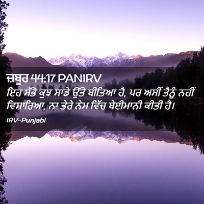 Picture 02 - ਜ਼ਬੂਰ 44:17 PANIRV - ਇਹ ਸੱਭੋ ਕੁਝ ਸਾਡੇ - Bible Verse Picture