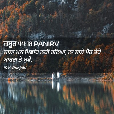 Picture 02 - ਜ਼ਬੂਰ 44:18 PANIRV - ਸਾਡਾ ਮਨ ਪਿਛਾਂਹ - Bible Verse Picture