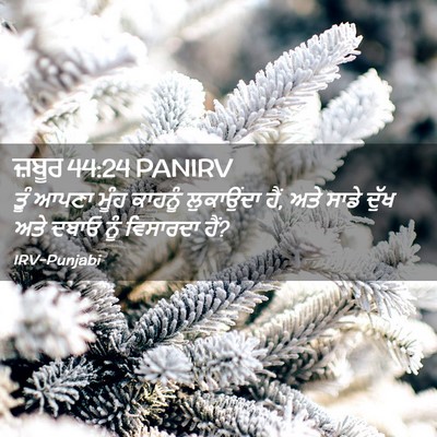 Picture 02 - ਜ਼ਬੂਰ 44:24 PANIRV - ਤੂੰ ਆਪਣਾ ਮੂੰਹ - Bible Verse Picture