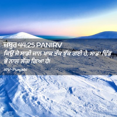 Picture 02 - ਜ਼ਬੂਰ 44:25 PANIRV - ਕਿਉਂ ਜੋ ਸਾਡੀ ਜਾਨ - Bible Verse Picture