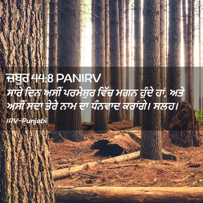 Picture 02 - ਜ਼ਬੂਰ 44:8 PANIRV - ਸਾਰੇ ਦਿਨ ਅਸੀਂ - Bible Verse Picture