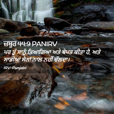 Picture 02 - ਜ਼ਬੂਰ 44:9 PANIRV - ਪਰ ਤੂੰ ਸਾਨੂੰ - Bible Verse Picture