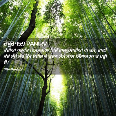 Picture 02 - ਜ਼ਬੂਰ 45:9 PANIRV - ਤੇਰੀਆਂ ਪਤਵੰਤ - Bible Verse Picture