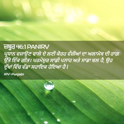 Picture 02 - ਜ਼ਬੂਰ 46:1 PANIRV - ਪ੍ਰਧਾਨ ਵਜਾਉਣ ਵਾਲੇ - Bible Verse Picture