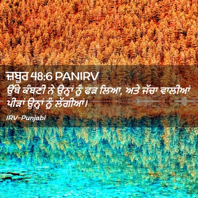 Picture 02 - ਜ਼ਬੂਰ 48:6 PANIRV - ਉੱਥੇ ਕੰਬਣੀ ਨੇ - Bible Verse Picture