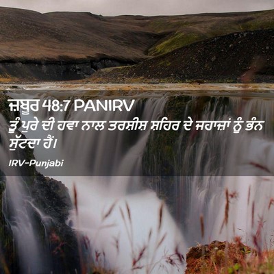 Picture 02 - ਜ਼ਬੂਰ 48:7 PANIRV - ਤੂੰ ਪੁਰੇ ਦੀ ਹਵਾ ਨਾਲ - Bible Verse Picture