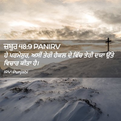 Picture 02 - ਜ਼ਬੂਰ 48:9 PANIRV - ਹੇ ਪਰਮੇਸ਼ੁਰ, ਅਸੀਂ - Bible Verse Picture