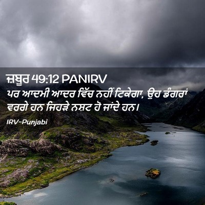 Picture 02 - ਜ਼ਬੂਰ 49:12 PANIRV - ਪਰ ਆਦਮੀ ਆਦਰ ਵਿੱਚ - Bible Verse Picture
