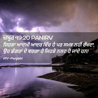 Picture 02 - ਜ਼ਬੂਰ 49:20 PANIRV - ਜਿਹੜਾ ਆਦਮੀ ਆਦਰ - Bible Verse Picture