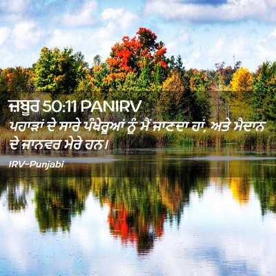 Picture 02 - ਜ਼ਬੂਰ 50:11 PANIRV - ਪਹਾੜਾਂ ਦੇ ਸਾਰੇ - Bible Verse Picture