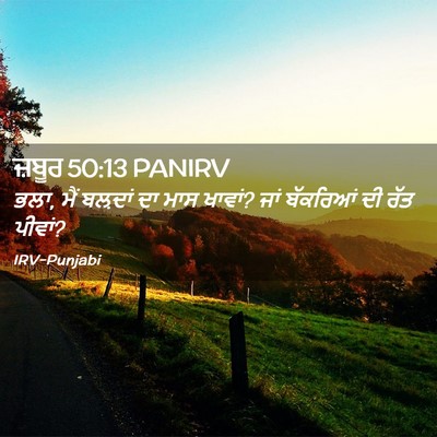 Picture 02 - ਜ਼ਬੂਰ 50:13 PANIRV - ਭਲਾ, ਮੈਂ ਬਲ਼ਦਾਂ ਦਾ - Bible Verse Picture