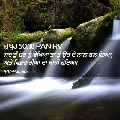 Picture 02 - ਜ਼ਬੂਰ 50:18 PANIRV - ਜਦ ਤੂੰ ਚੋਰ ਨੂੰ - Bible Verse Picture
