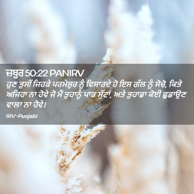 Picture 02 - ਜ਼ਬੂਰ 50:22 PANIRV - ਹੁਣ ਤੁਸੀਂ ਜਿਹੜੇ - Bible Verse Picture