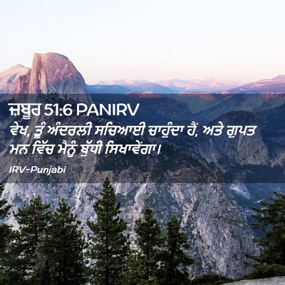 Picture 02 - ਜ਼ਬੂਰ 51:6 PANIRV - ਵੇਖ, ਤੂੰ ਅੰਦਰਲੀ - Bible Verse Picture