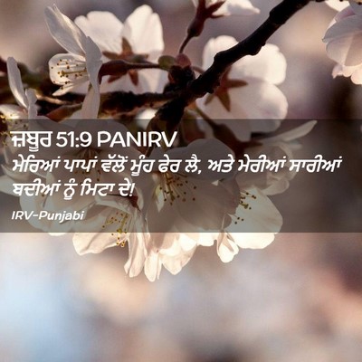 Picture 02 - ਜ਼ਬੂਰ 51:9 PANIRV - ਮੇਰਿਆਂ ਪਾਪਾਂ - Bible Verse Picture