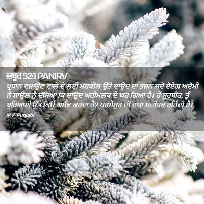 Picture 02 - ਜ਼ਬੂਰ 52:1 PANIRV - ਪ੍ਰਧਾਨ ਵਜਾਉਣ ਵਾਲੇ - Bible Verse Picture