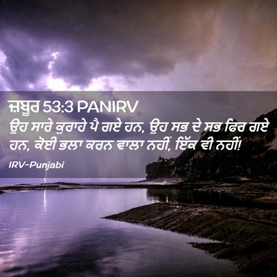 Picture 02 - ਜ਼ਬੂਰ 53:3 PANIRV - ਉਹ ਸਾਰੇ ਕੁਰਾਹੇ ਪੈ - Bible Verse Picture