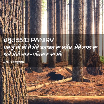 Picture 02 - ਜ਼ਬੂਰ 55:13 PANIRV - ਪਰ ਤੂੰ ਹੀ ਸੀ ਜੋ - Bible Verse Picture