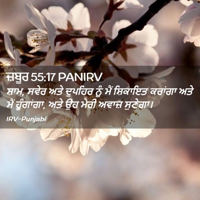 Picture 02 - ਜ਼ਬੂਰ 55:17 PANIRV - ਸ਼ਾਮ, ਸਵੇਰ ਅਤੇ - Bible Verse Picture