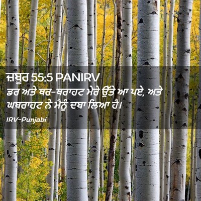 Picture 02 - ਜ਼ਬੂਰ 55:5 PANIRV - ਡਰ ਅਤੇ ਥਰ-ਥਰਾਹਟ - Bible Verse Picture