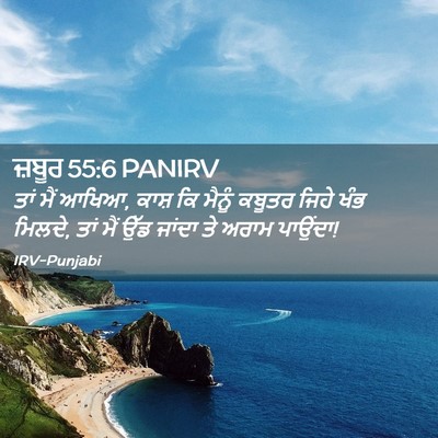 Picture 02 - ਜ਼ਬੂਰ 55:6 PANIRV - ਤਾਂ ਮੈਂ ਆਖਿਆ, ਕਾਸ਼ - Bible Verse Picture