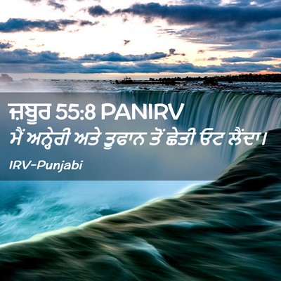 Picture 02 - ਜ਼ਬੂਰ 55:8 PANIRV - ਮੈਂ ਅਨ੍ਹੇਰੀ ਅਤੇ - Bible Verse Picture