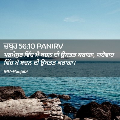 Picture 02 - ਜ਼ਬੂਰ 56:10 PANIRV - ਪਰਮੇਸ਼ੁਰ ਵਿੱਚ ਮੈਂ - Bible Verse Picture