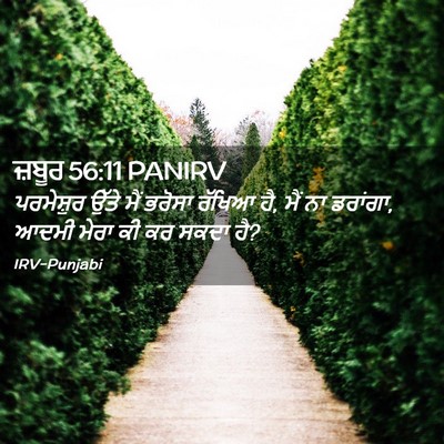 Picture 02 - ਜ਼ਬੂਰ 56:11 PANIRV - ਪਰਮੇਸ਼ੁਰ ਉੱਤੇ ਮੈਂ - Bible Verse Picture