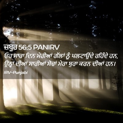 Picture 02 - ਜ਼ਬੂਰ 56:5 PANIRV - ਓਹ ਸਾਰਾ ਦਿਨ ਮੇਰੀਆਂ - Bible Verse Picture
