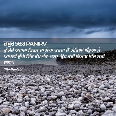 Picture 02 - ਜ਼ਬੂਰ 56:8 PANIRV - ਤੂੰ ਮੇਰੇ ਅਵਾਰਾ - Bible Verse Picture