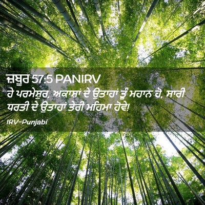 Picture 02 - ਜ਼ਬੂਰ 57:5 PANIRV - ਹੇ ਪਰਮੇਸ਼ੁਰ, - Bible Verse Picture