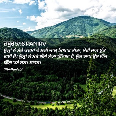 Picture 02 - ਜ਼ਬੂਰ 57:6 PANIRV - ਉਨ੍ਹਾਂ ਨੇ ਮੇਰੇ - Bible Verse Picture