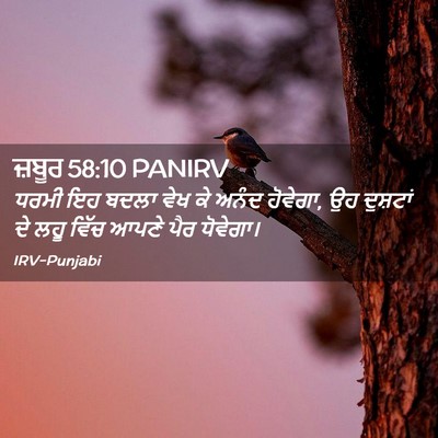 Picture 02 - ਜ਼ਬੂਰ 58:10 PANIRV - ਧਰਮੀ ਇਹ ਬਦਲਾ ਵੇਖ ਕੇ - Bible Verse Picture