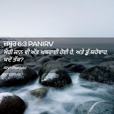 Picture 02 - ਜ਼ਬੂਰ 6:3 PANIRV - ਮੇਰੀ ਜਾਨ ਵੀ ਅੱਤ - Bible Verse Picture