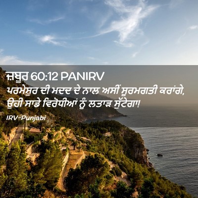 Picture 02 - ਜ਼ਬੂਰ 60:12 PANIRV - ਪਰਮੇਸ਼ੁਰ ਦੀ ਮਦਦ ਦੇ - Bible Verse Picture