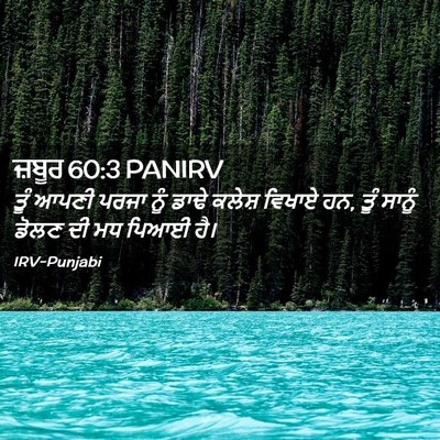 Picture 02 - ਜ਼ਬੂਰ 60:3 PANIRV - ਤੂੰ ਆਪਣੀ ਪਰਜਾ ਨੂੰ - Bible Verse Picture