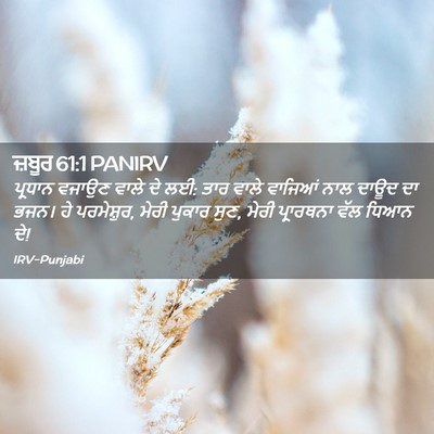 Picture 02 - ਜ਼ਬੂਰ 61:1 PANIRV - ਪ੍ਰਧਾਨ ਵਜਾਉਣ ਵਾਲੇ - Bible Verse Picture