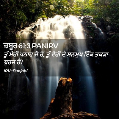 Picture 02 - ਜ਼ਬੂਰ 61:3 PANIRV - ਤੂੰ ਮੇਰੀ ਪਨਾਹ ਜੋ - Bible Verse Picture