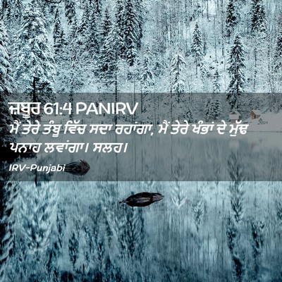 Picture 02 - ਜ਼ਬੂਰ 61:4 PANIRV - ਮੈਂ ਤੇਰੇ ਤੰਬੂ ਵਿੱਚ - Bible Verse Picture